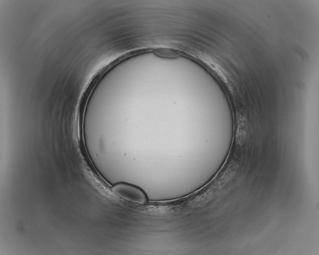 X0000115281080200911131824