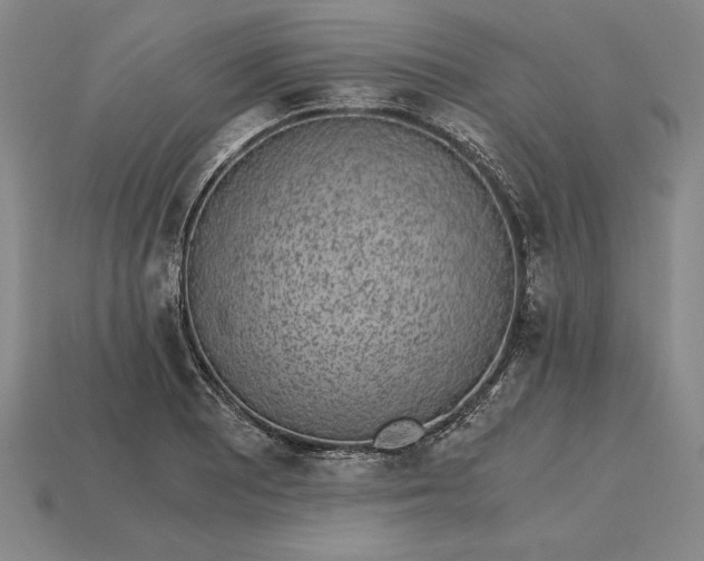 X0000115281081200911131824