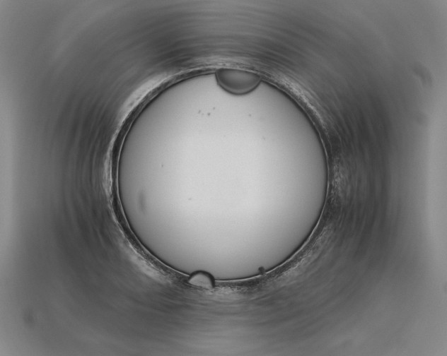 X0000115281082200911131824