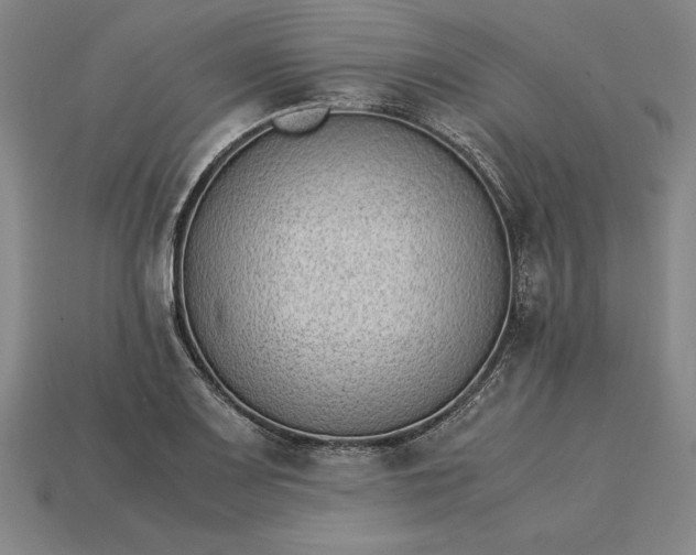 X0000115281083200911131824