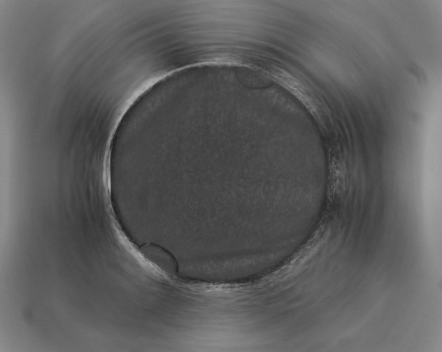 X0000115281084200911131824