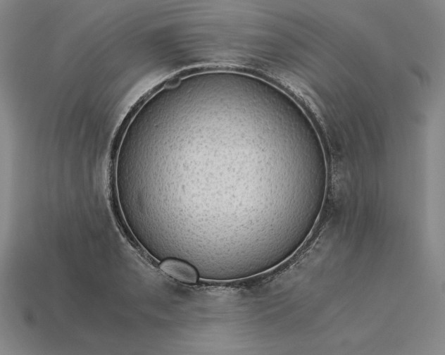 X0000115281085200911131824