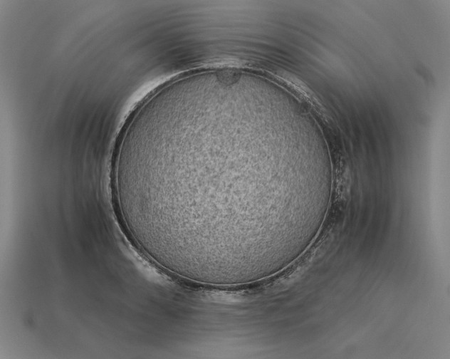 X0000115281086200911131824