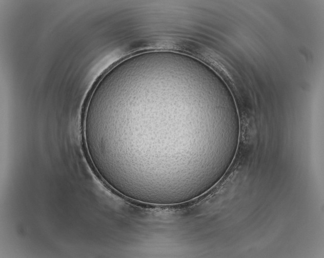 X0000115281087200911131824