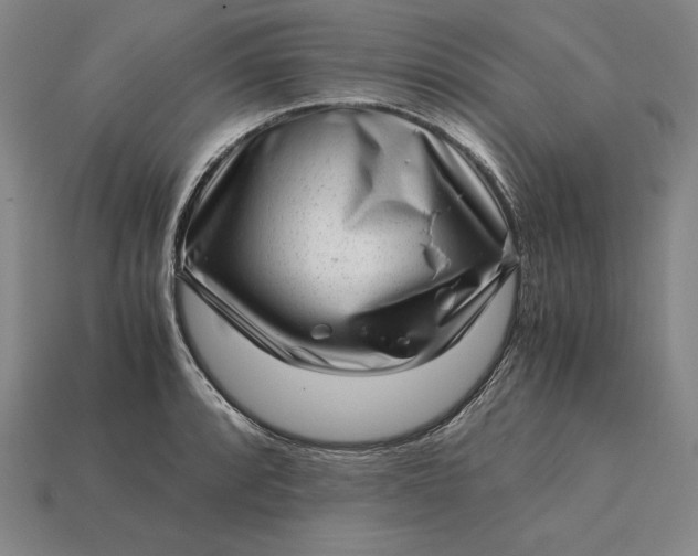 X0000115281088200911131824