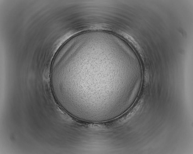 X0000115281089200911131824