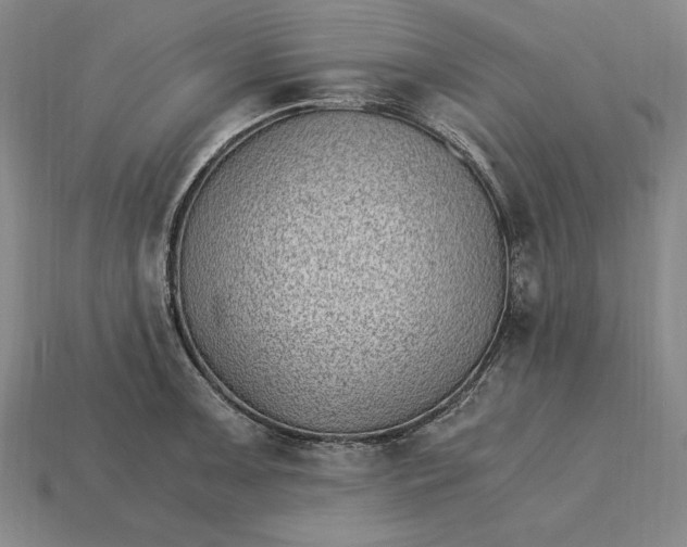 X0000115281091200911131823