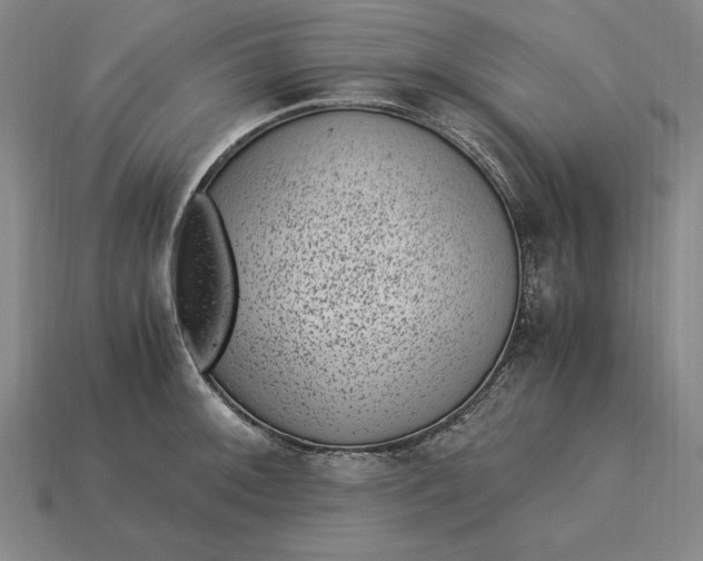 X0000115281092200911131823