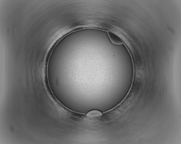 X0000115281093200911131823