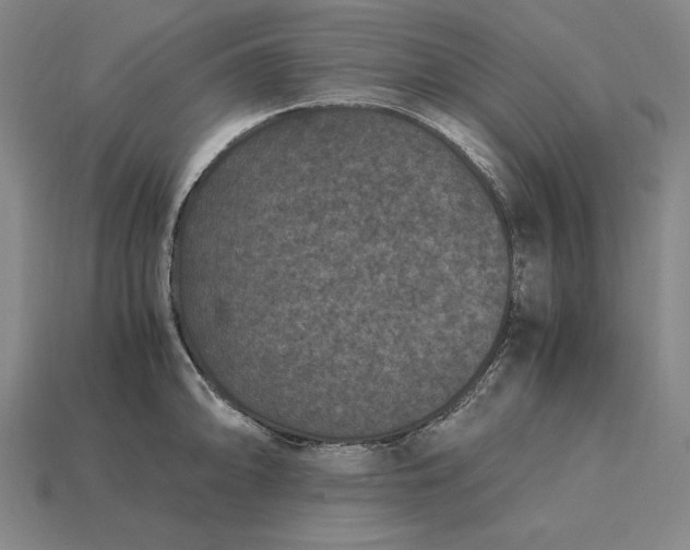 X0000115281094200911131823