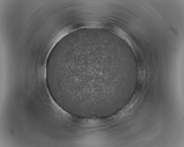 X0000115281095200911131823