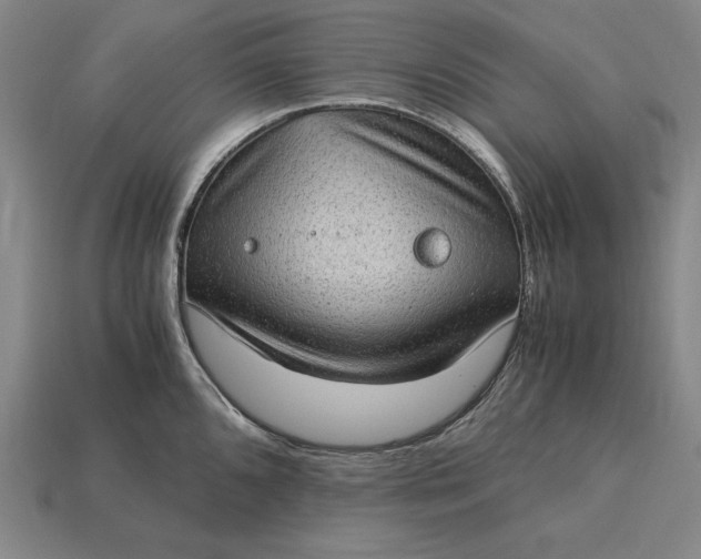 X0000115281096200911131823