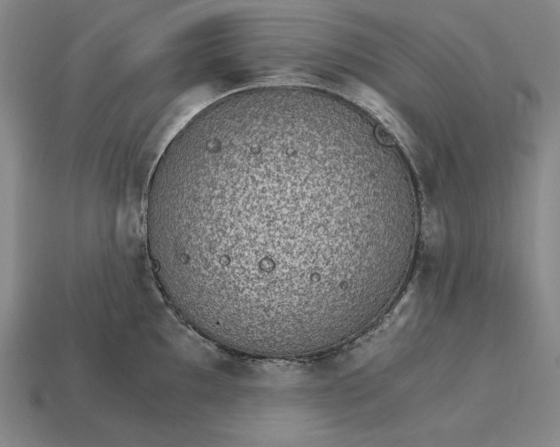 X0000115281097200911131823