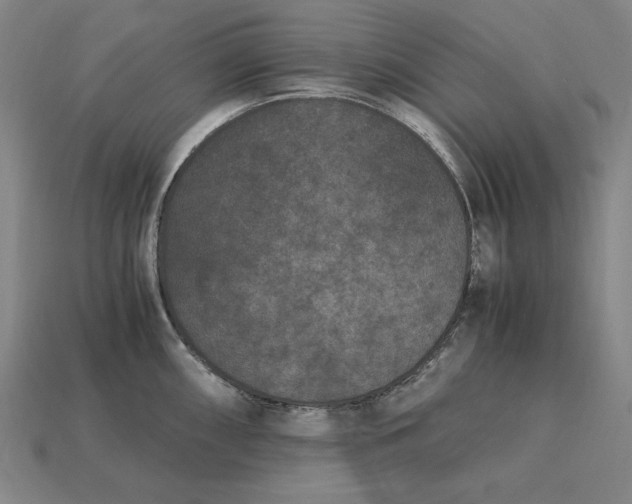 X0000115281098200911131823