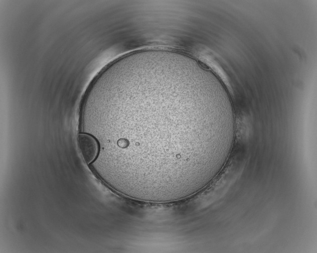 X0000115281099200911131823