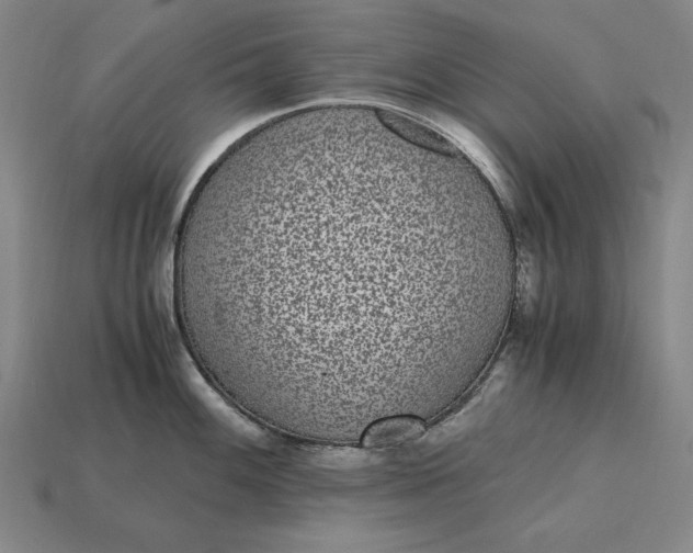 X0000115281100200911131823