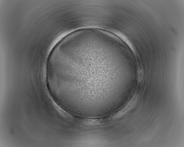 X0000115281101200911131823