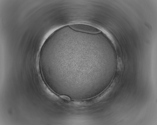 X0000115281102200911131823