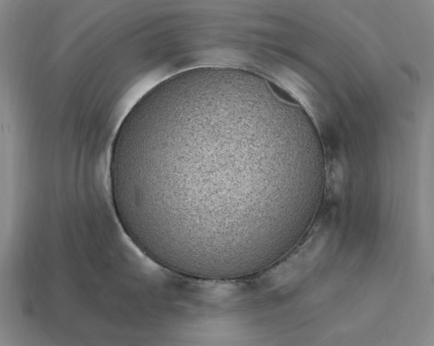 X0000115281103200911131823