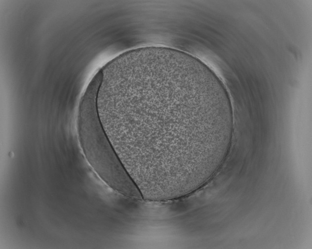 X0000115281104200911131823