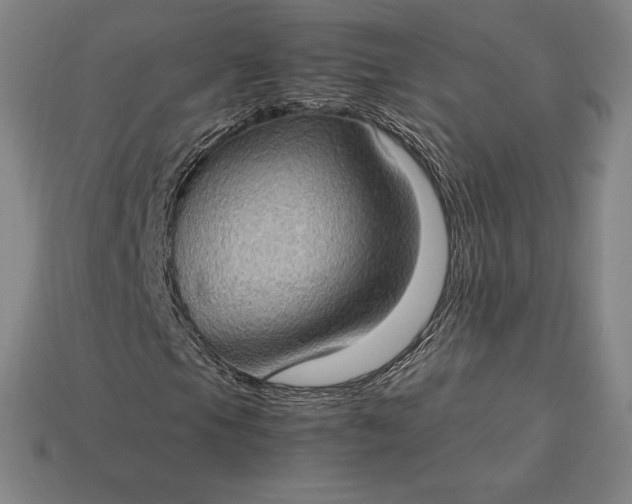 X0000115281105200911131823