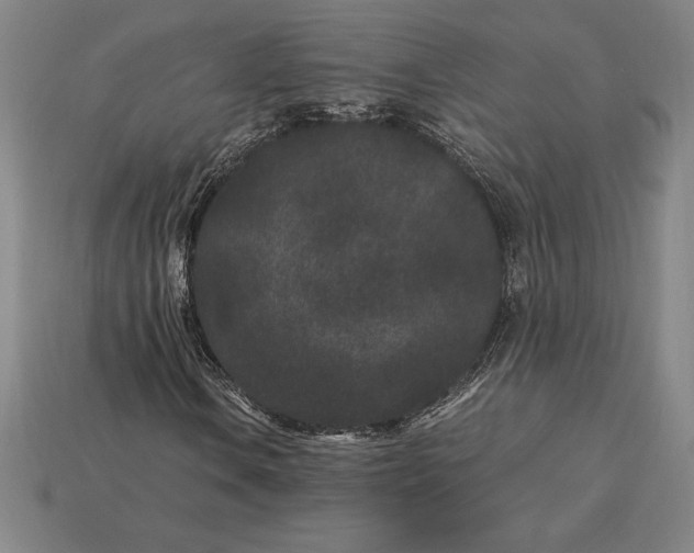 X0000115281106200911131823