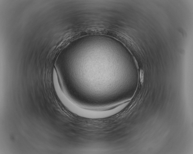 X0000115281107200911131823