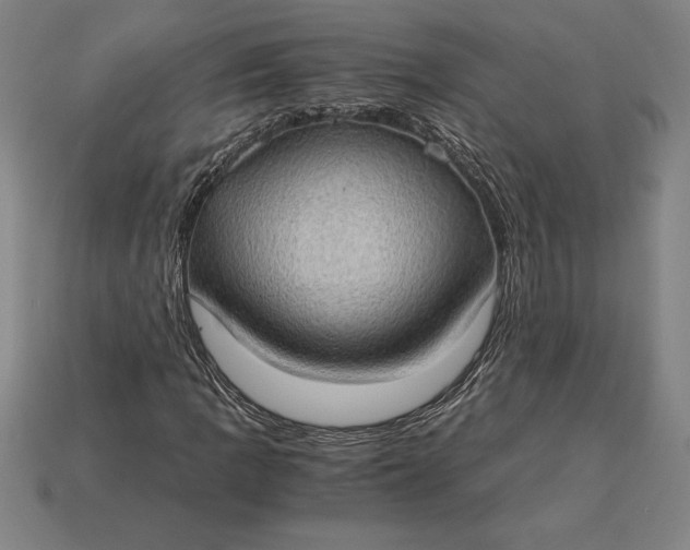 X0000115281109200911131823