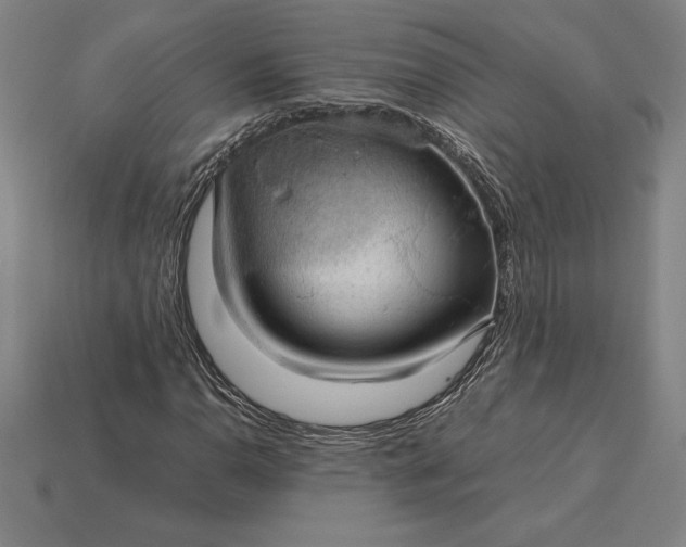 X0000115281110200911131823