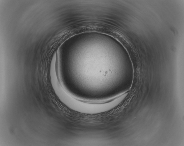 X0000115281111200911131823