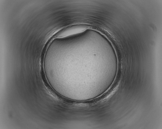 X0000115281113200911131823