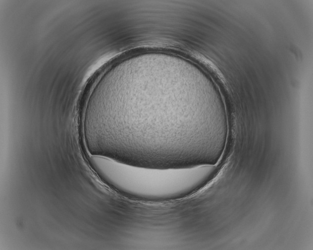 X0000115281114200911131823