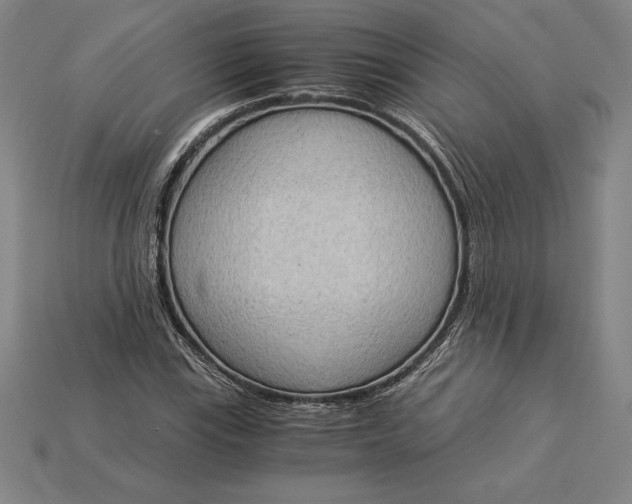 X0000115281115200911131823