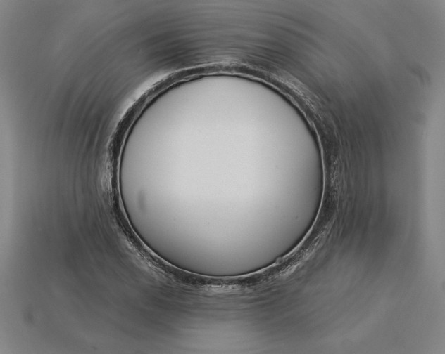 X0000115281118200911131823