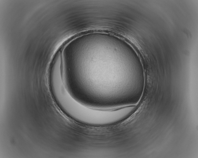 X0000115281119200911131823