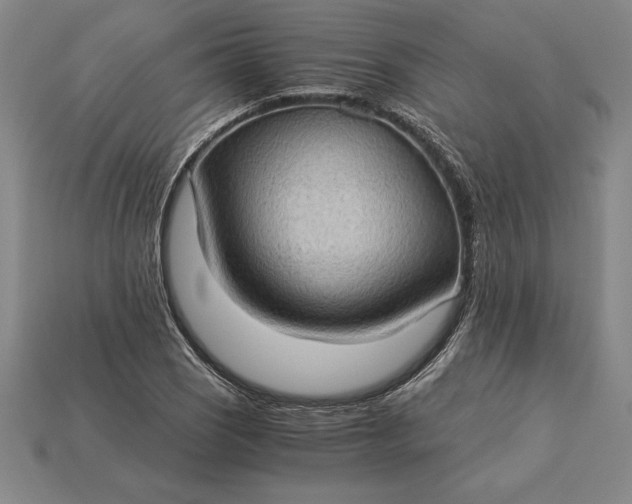 X0000115281121200911131823