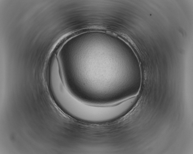 X0000115281123200911131823