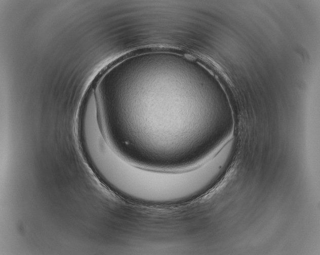 X0000115281125200911131823