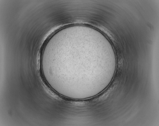 X0000115281126200911131823