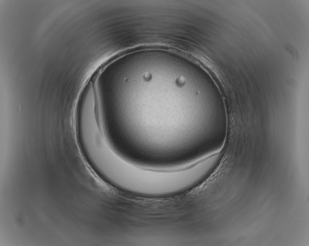 X0000115281127200911131823