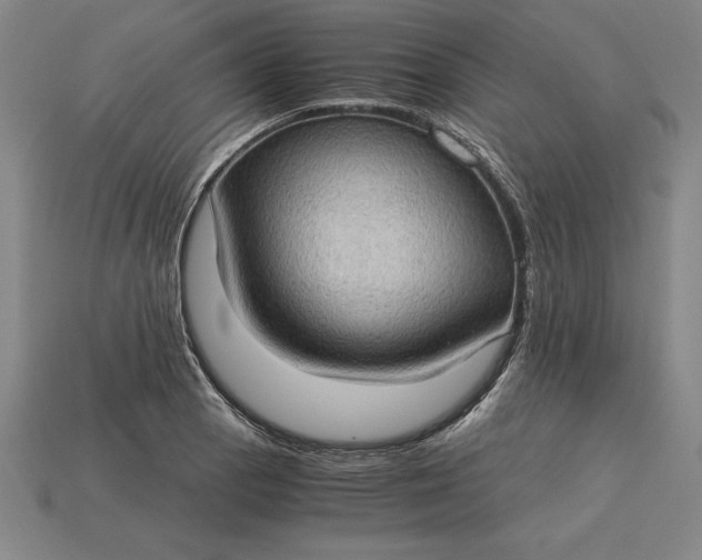 X0000115281129200911131823