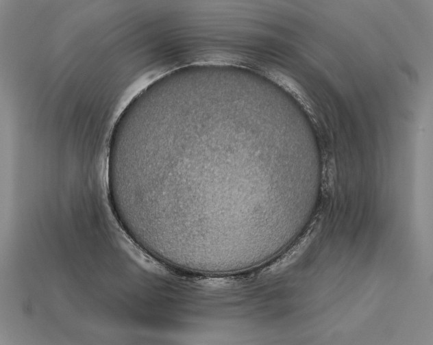 X0000115281130200911131823