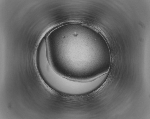 X0000115281131200911131823