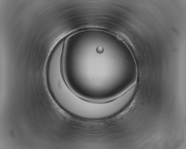 X0000115281133200911131823