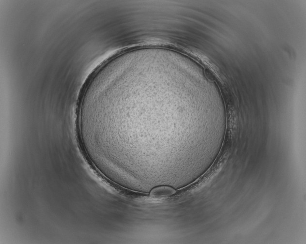 X0000115281134200911131823