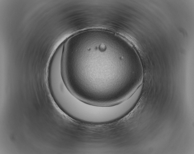 X0000115281135200911131823