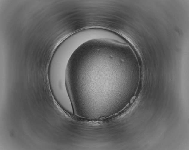 X0000115281137200911131823