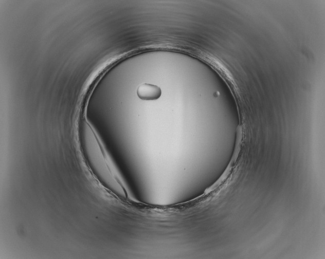 X0000115281138200911131823