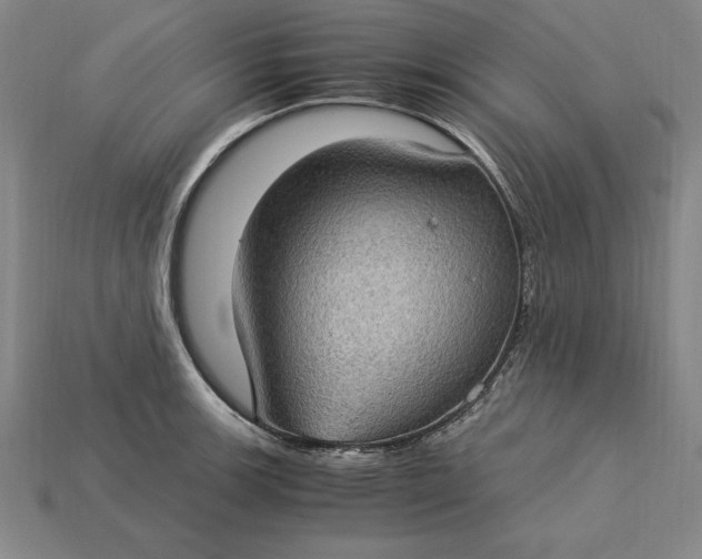 X0000115281139200911131823