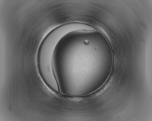 X0000115281141200911131823